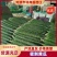 【好评超多】山东黄瓜密刺黄瓜大量上市保质保量价格优惠