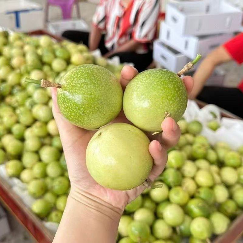 广东钦蜜九号百香果纯甜味统果大量现货供应对接所有渠道发货