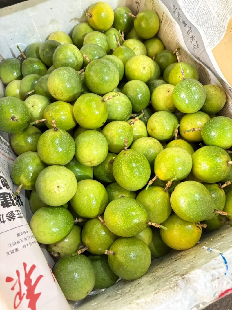 广东钦蜜九号百香果纯甜味统果大量现货供应对接所有渠道发货