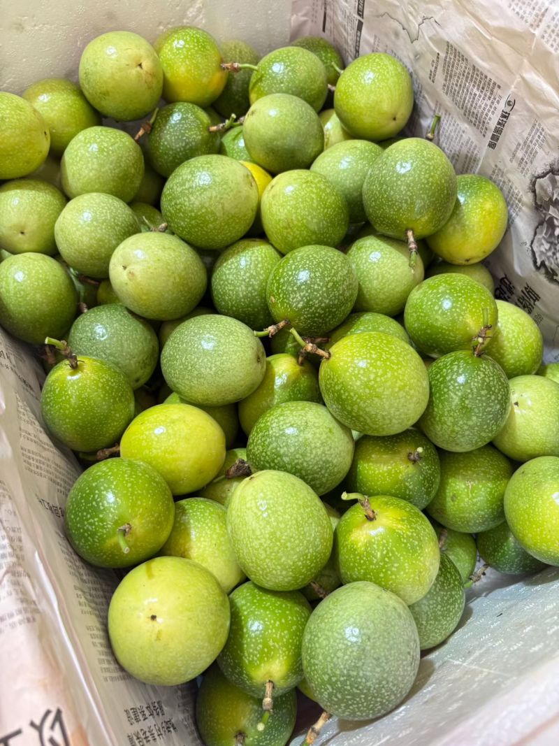 广东钦蜜九号百香果纯甜味统果大量现货供应对接所有渠道发货