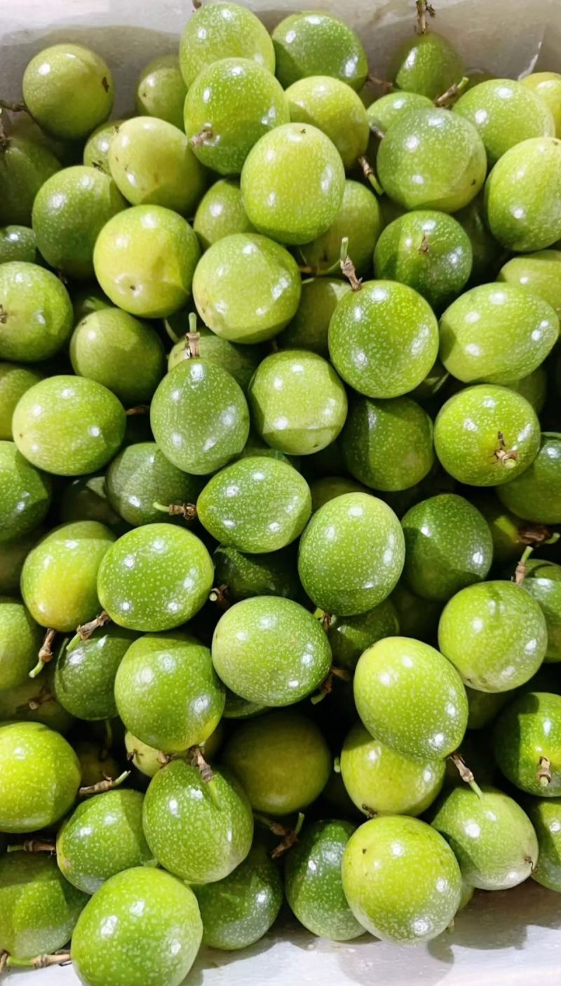 广东钦蜜九号百香果纯甜味统果大量现货供应对接所有渠道发货