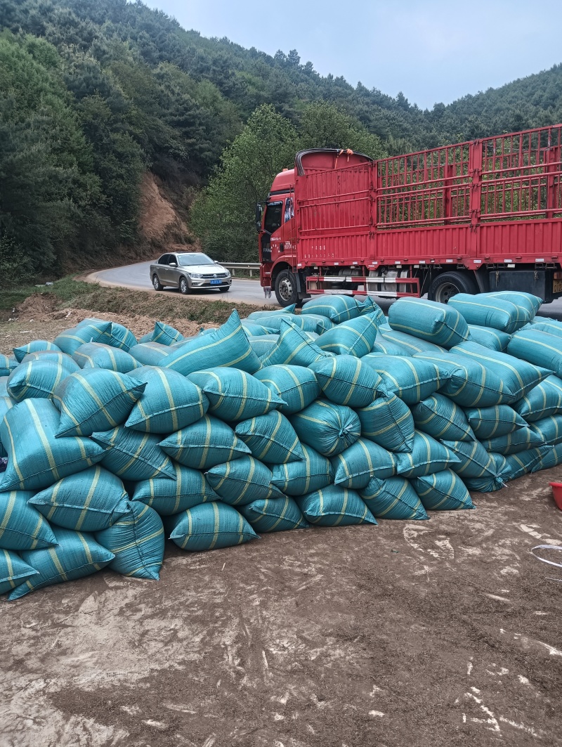 《腐植土》云南腐植土/云南营养土/育苗基质/便宜