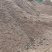 《腐植土》云南腐植土/云南营养土/育苗基质/便宜