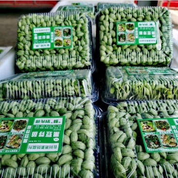 精1品盒6黑6豆苗1货源3长年7稳定8所见76即所得78