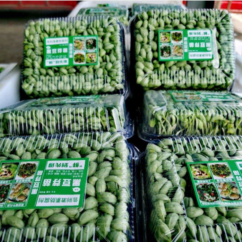 精1品盒6黑6豆苗1货源3长年7稳定8所见76即所得78