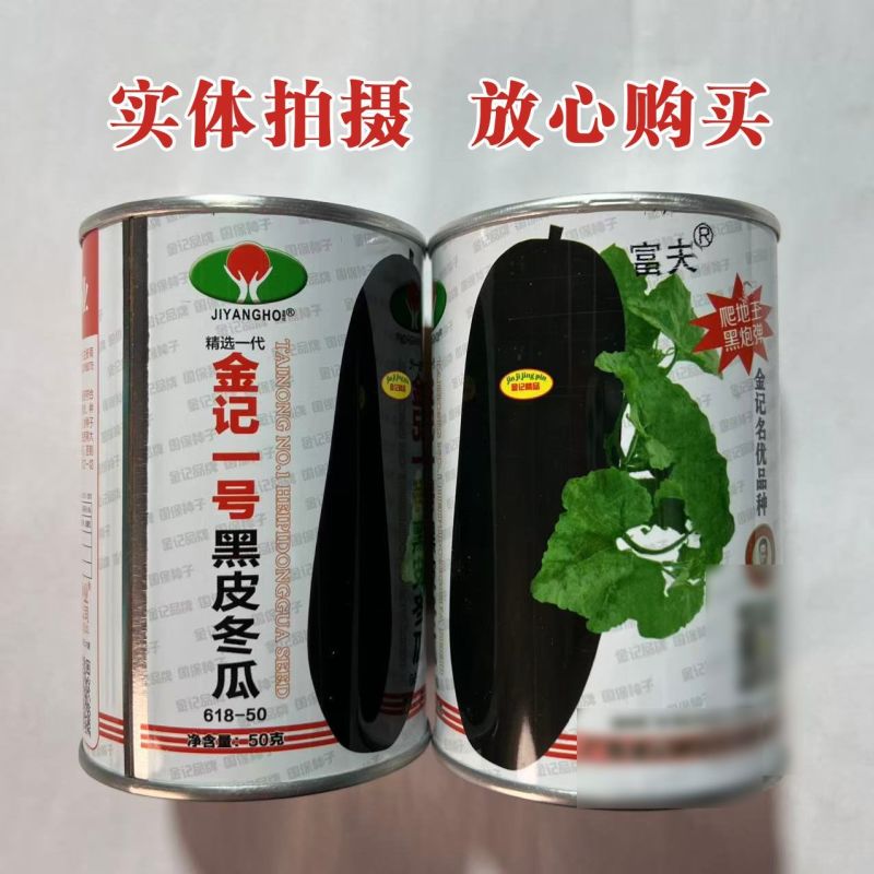 炮弹冬瓜种子广东黑皮冬瓜种籽高产特大巨型春秋春季四季蔬菜