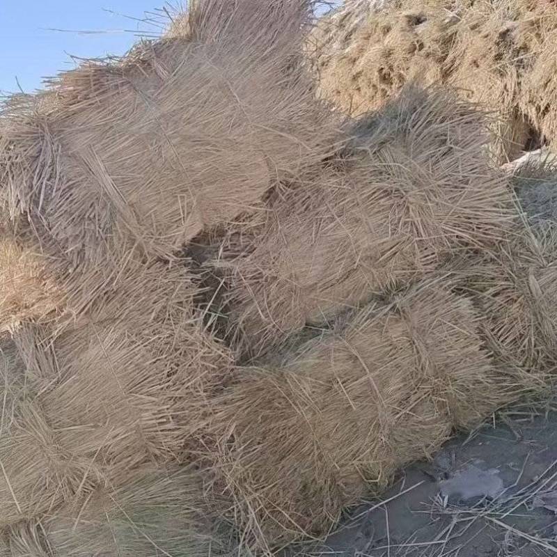 治沙稻草/长秸秆/沙漠绿化/可开发票/保质保量发货