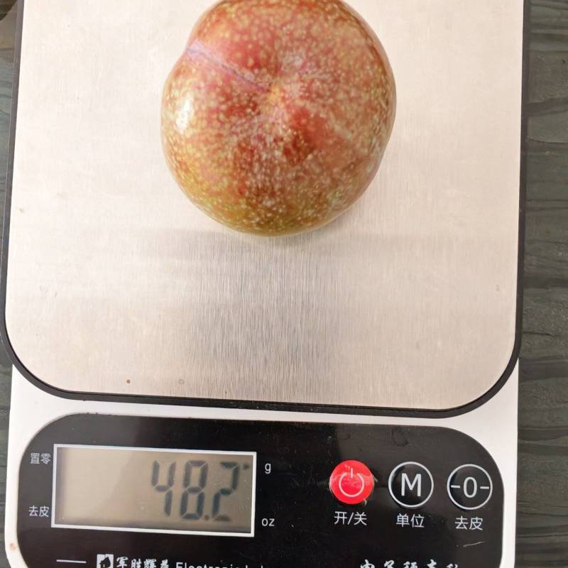 三华李