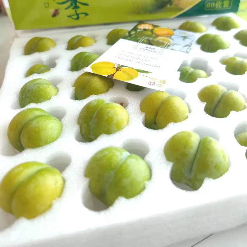 正宗蜂糖李