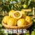 一件代发百香蜜（钦蜜9号.百香佳蜜2号）纯甜无酸蜜香浓