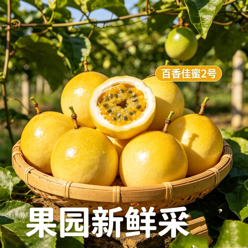 一件代发百香蜜（钦蜜9号.百香佳蜜2号）纯甜无酸蜜香浓