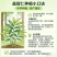 益智苗新鲜益智仁种苗带土带叶鲜活中药材苗良种益智子种苗包