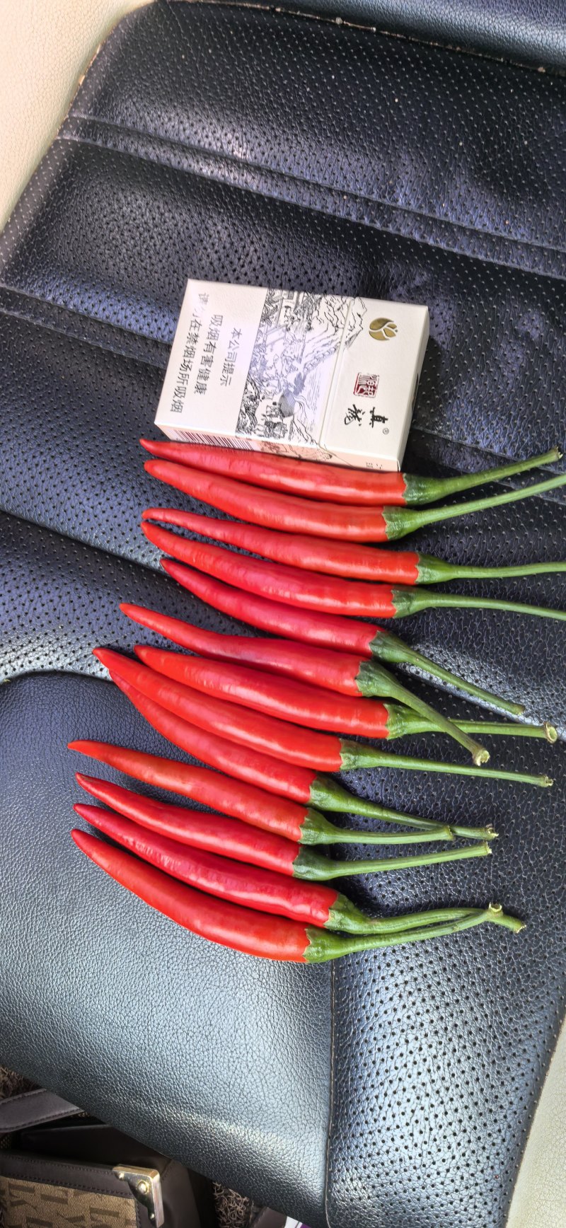广西新苗朝天椒，红米椒，超大果型