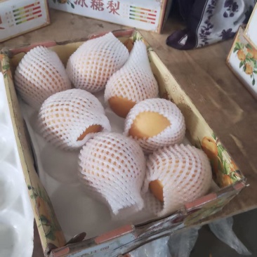 秋月梨，一二级混，硬度**，非常好。放半个月不会坏。
