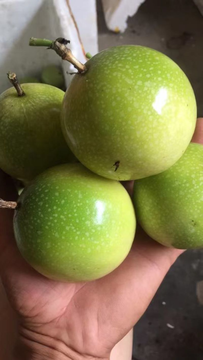 黄金百香果