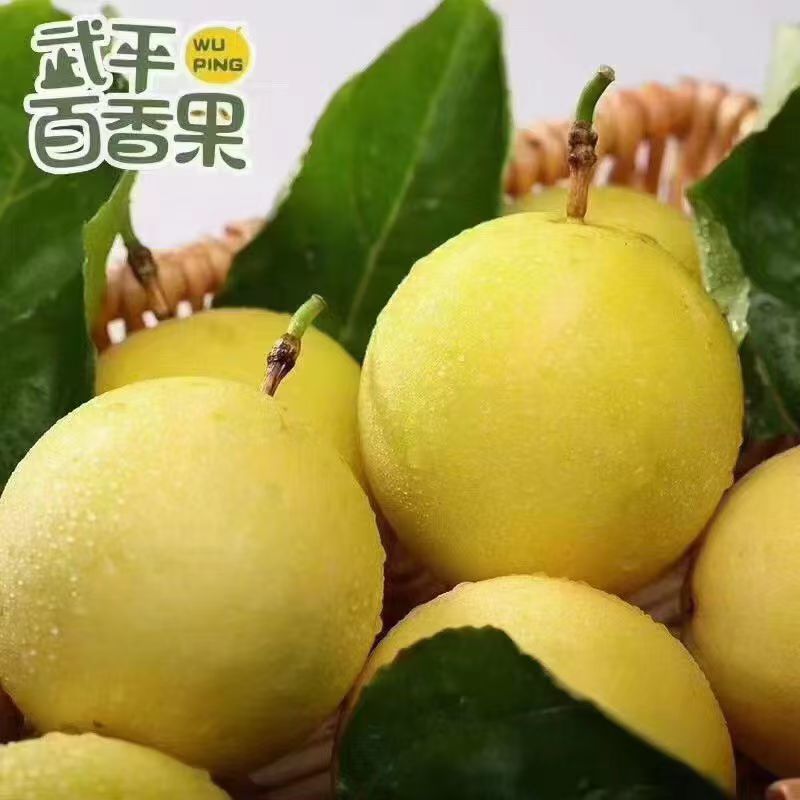 黄金百香果