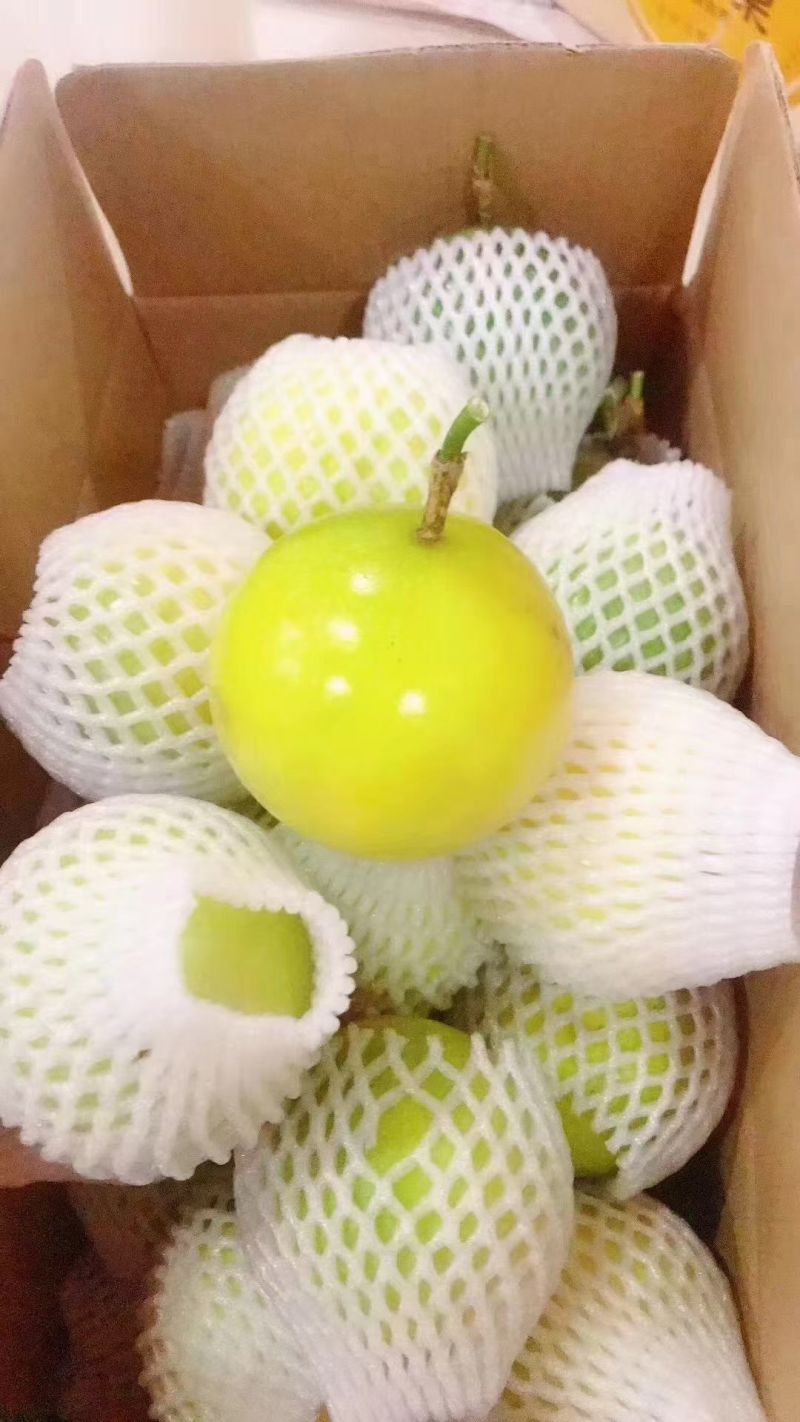黄金百香果