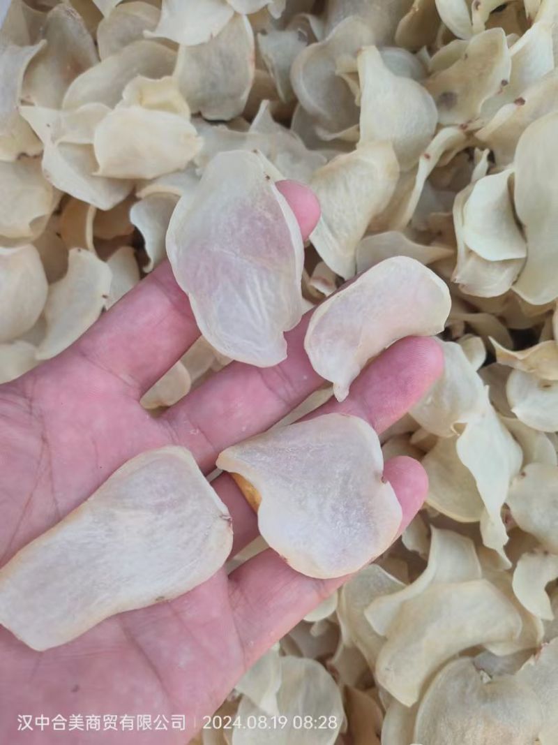 大量出晒干土豆片