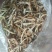 藤茶，金银花，小竹笋干（均为野生的）