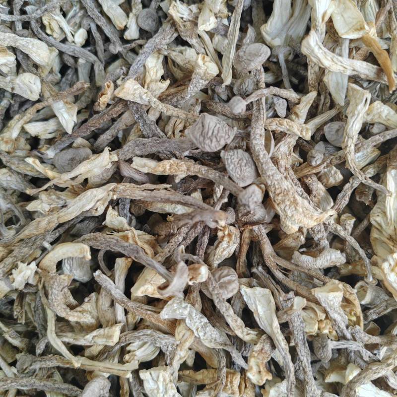 干鹿茸菇大嫩条好货质量好价格低无硫熏无干燥剂净重