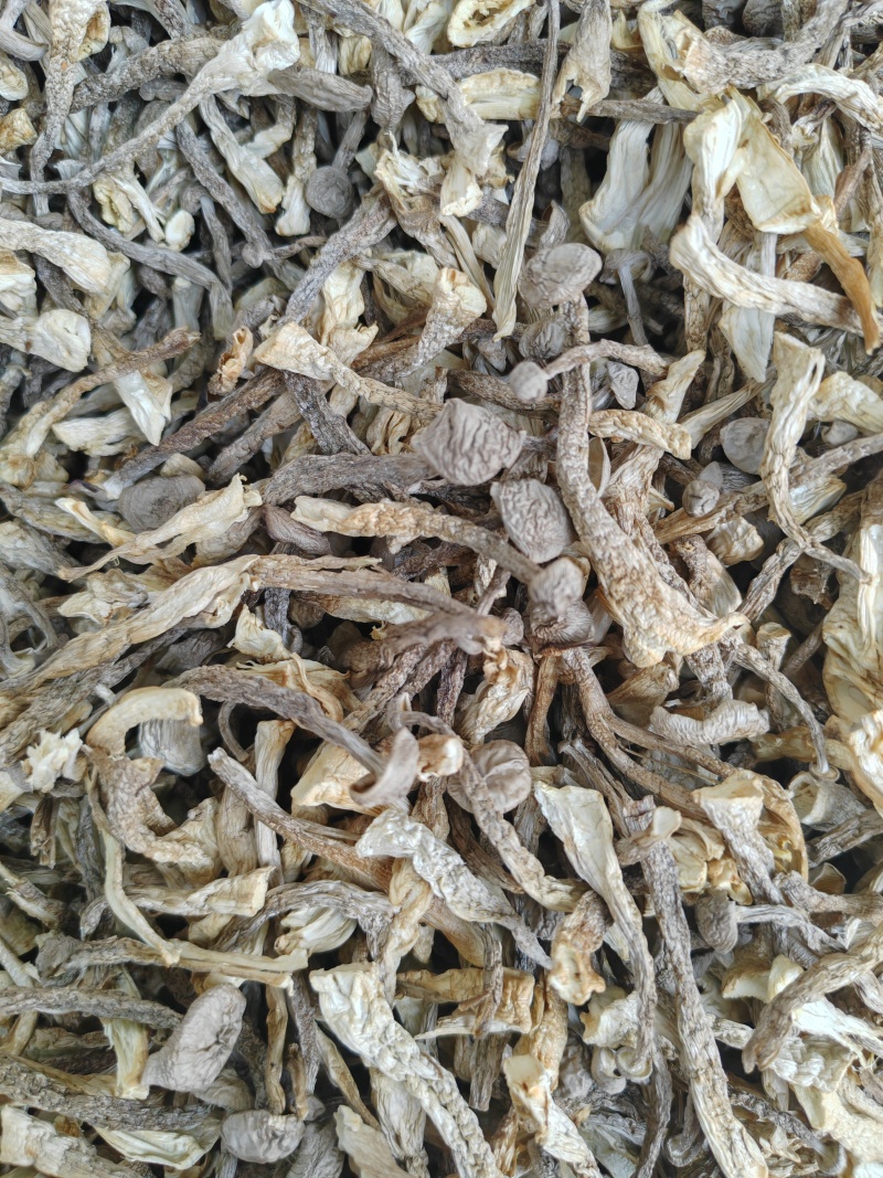 干鹿茸菇大嫩条好货质量好价格低无硫熏无干燥剂净重
