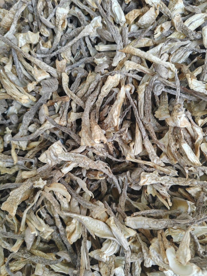 干鹿茸菇大嫩条好货质量好价格低无硫熏无干燥剂净重