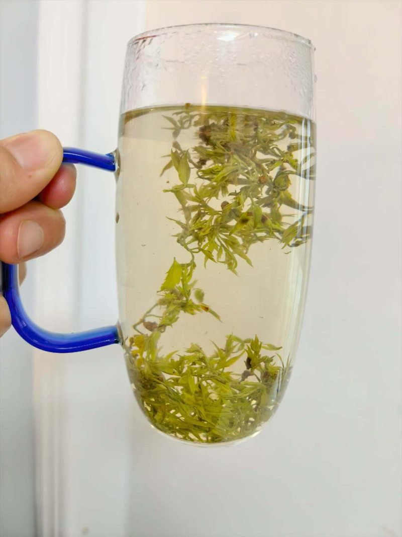 张家界特产莓茶