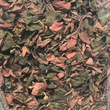 金线莲
