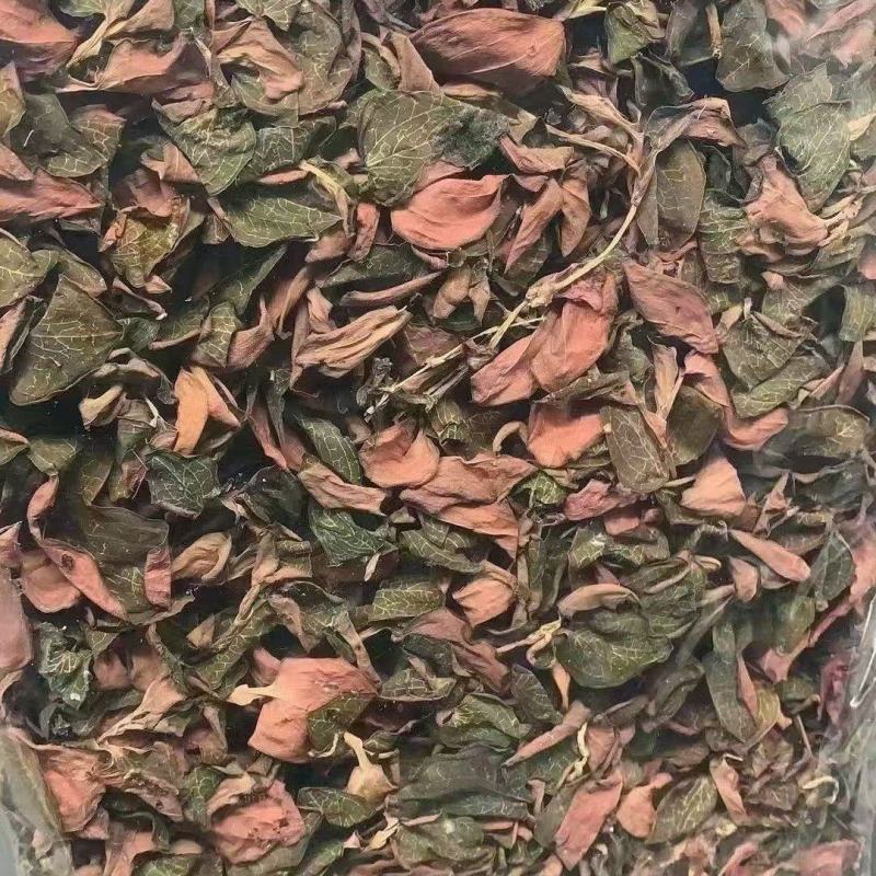 金线莲