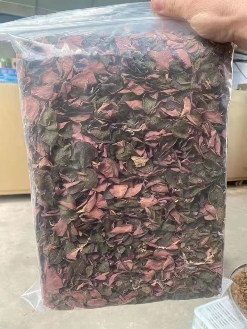 金线莲