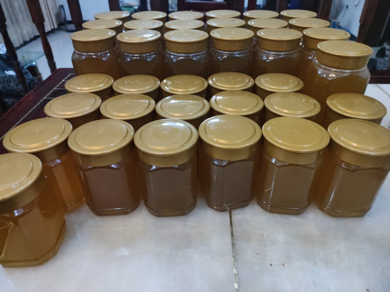 贵州盘州市土蜂蜜