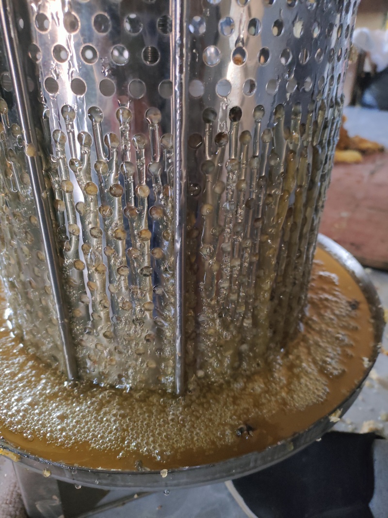 贵州盘州市土蜂蜜