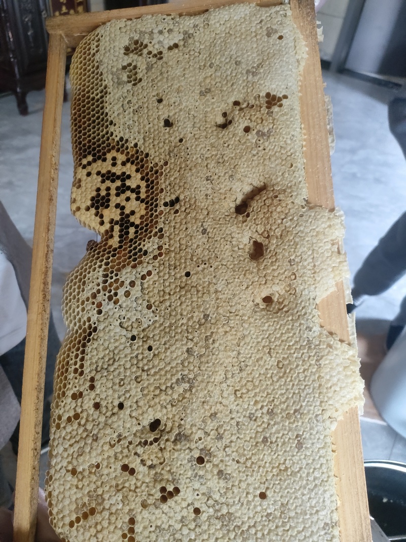 贵州盘州市土蜂蜜