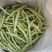 白不老四季豆豆角