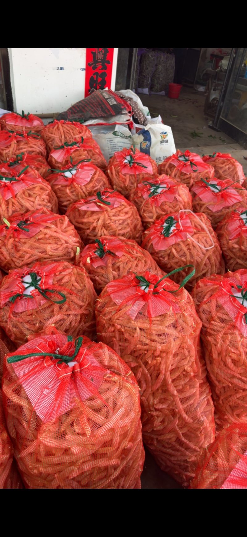 白不老四季豆豆角