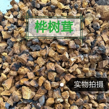桦树茸正品桦树黄中药材品质保证规格齐全桦树茸