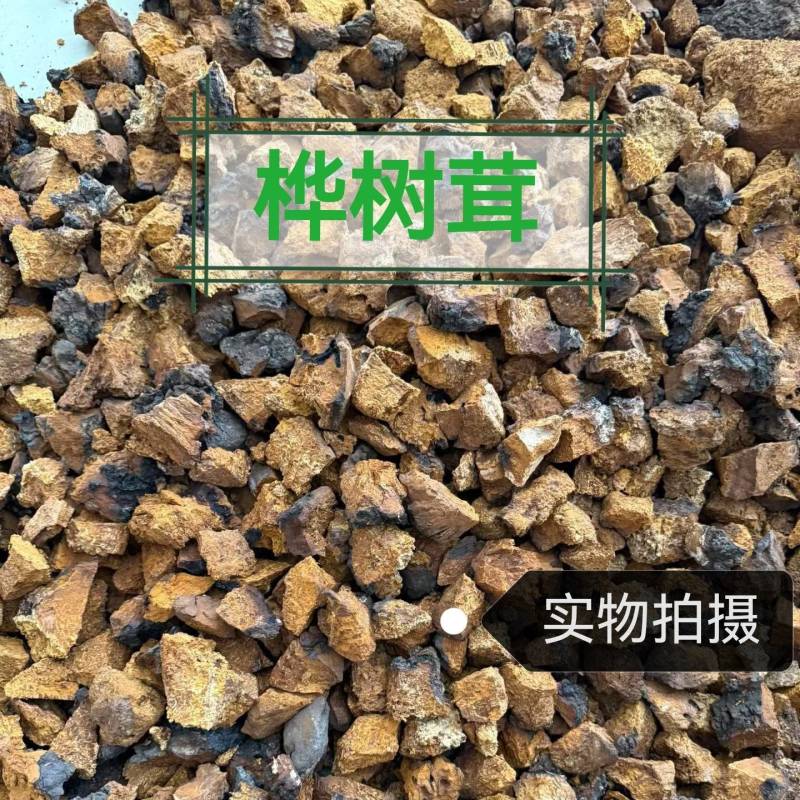 桦树茸正品桦树黄中药材品质保证规格齐全桦树茸