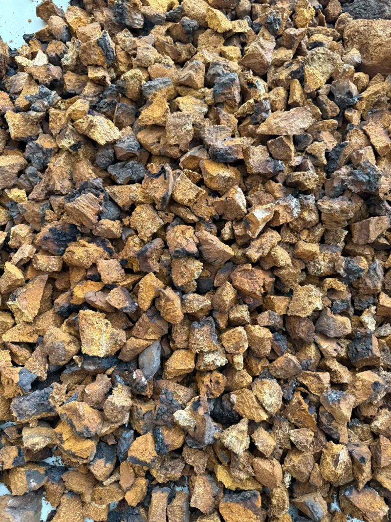 桦树茸正品桦树黄中药材品质保证规格齐全桦树茸
