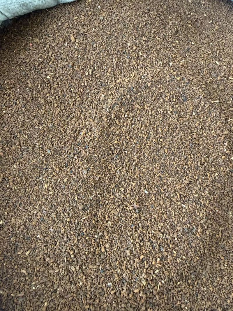 桦树茸正品桦树黄中药材品质保证规格齐全桦树茸