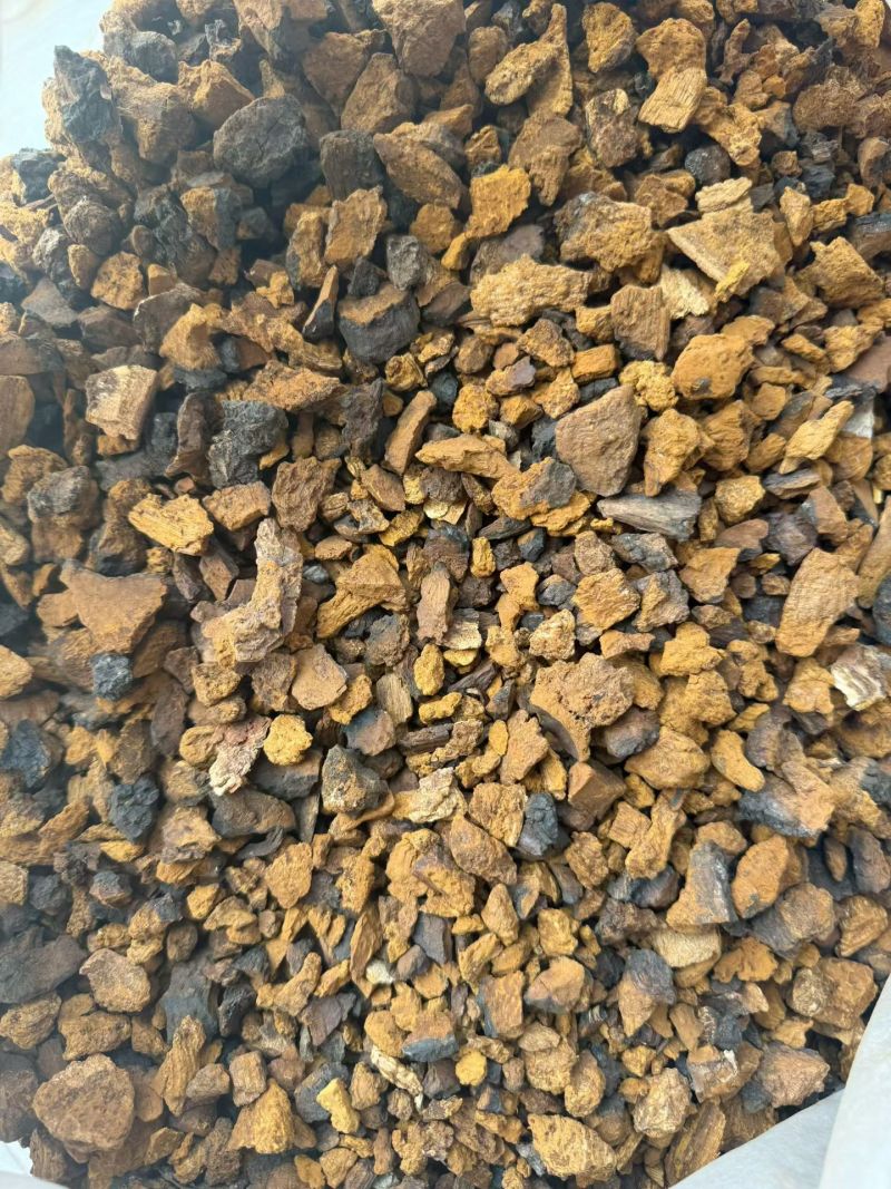 桦树茸正品桦树黄中药材品质保证规格齐全桦树茸
