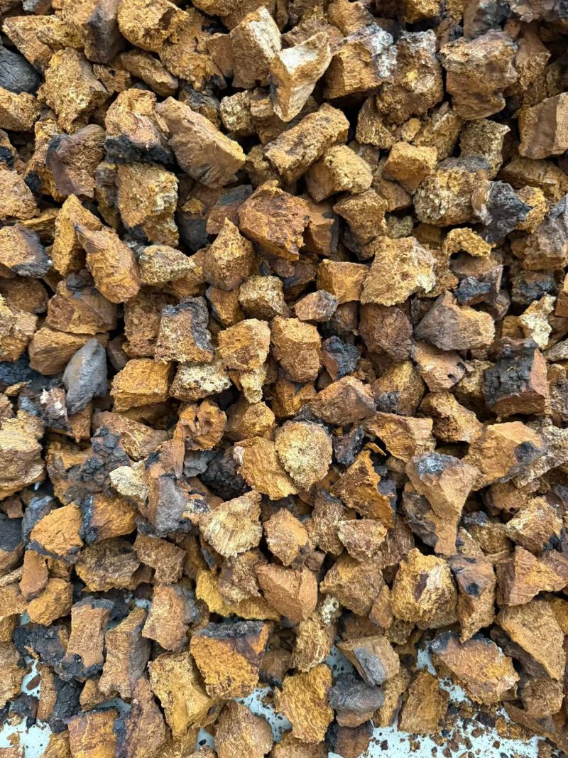 桦树茸正品桦树黄中药材品质保证规格齐全桦树茸