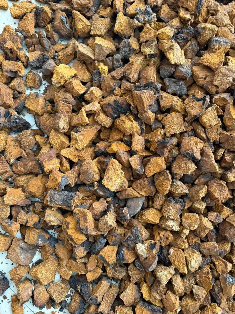 桦树茸正品桦树黄中药材品质保证规格齐全桦树茸