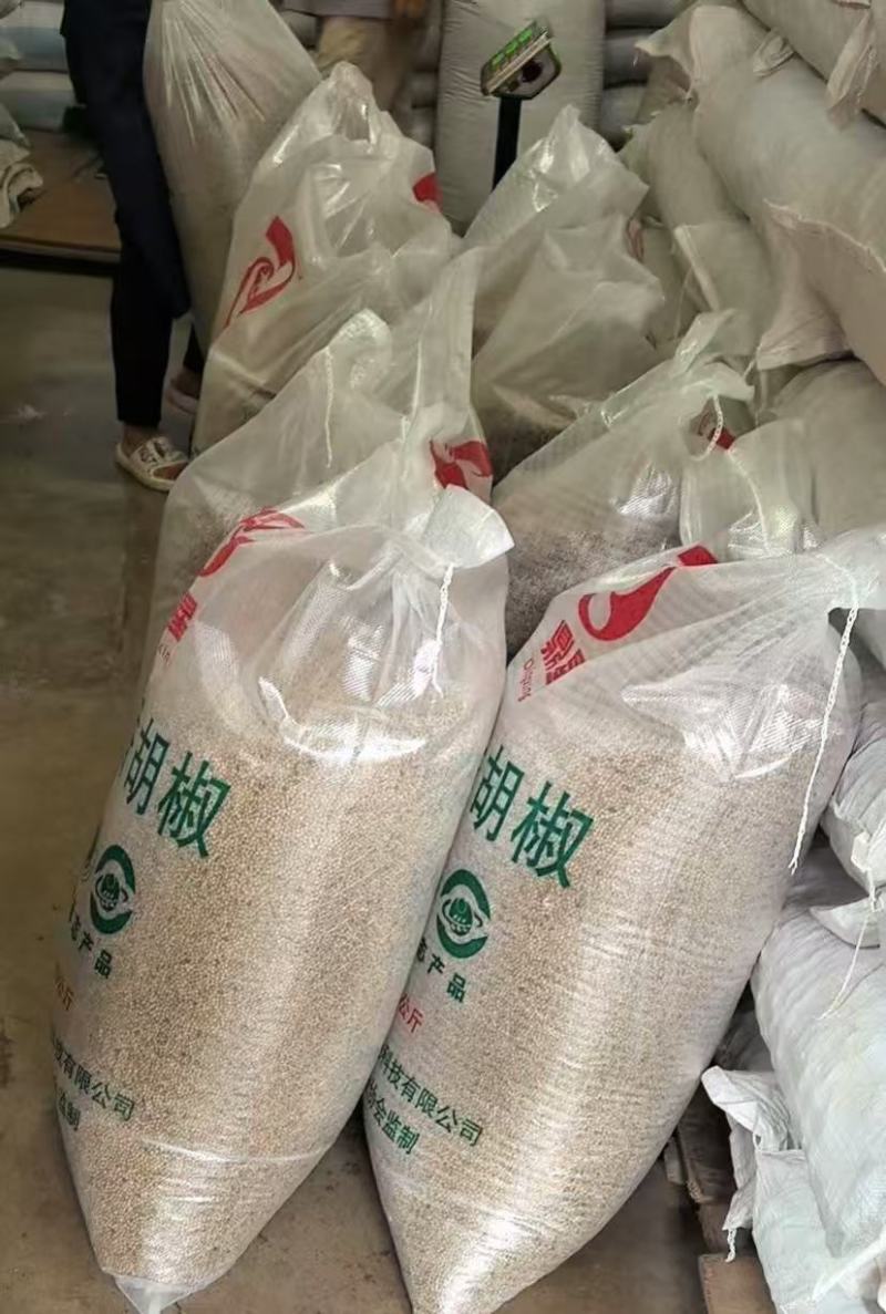 海南正宗白胡椒，纯干无杂质，大坡白胡椒种植园区直发