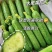 山西水果黄瓜小黄瓜，大量供应新鲜采摘货源充足