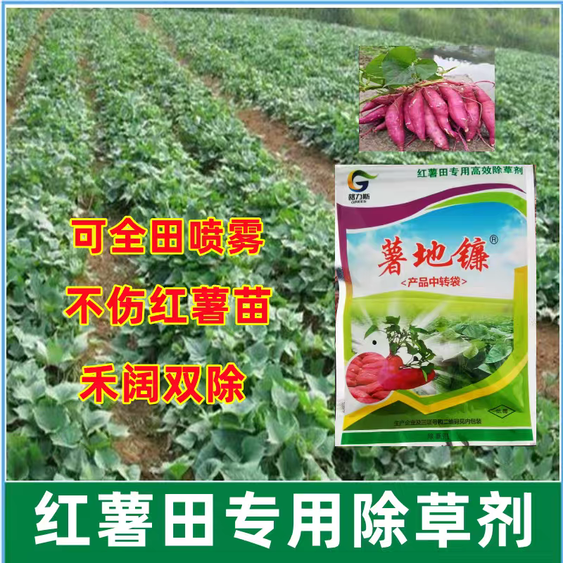 红薯苗后专用除草剂薯地镰红薯专用除草药