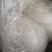 龙须雪燕批发雪燕好货无杂质拉丝雪燕品质好泡发高大量批发