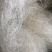 龙须雪燕批发雪燕好货无杂质拉丝雪燕品质好泡发高大量批发