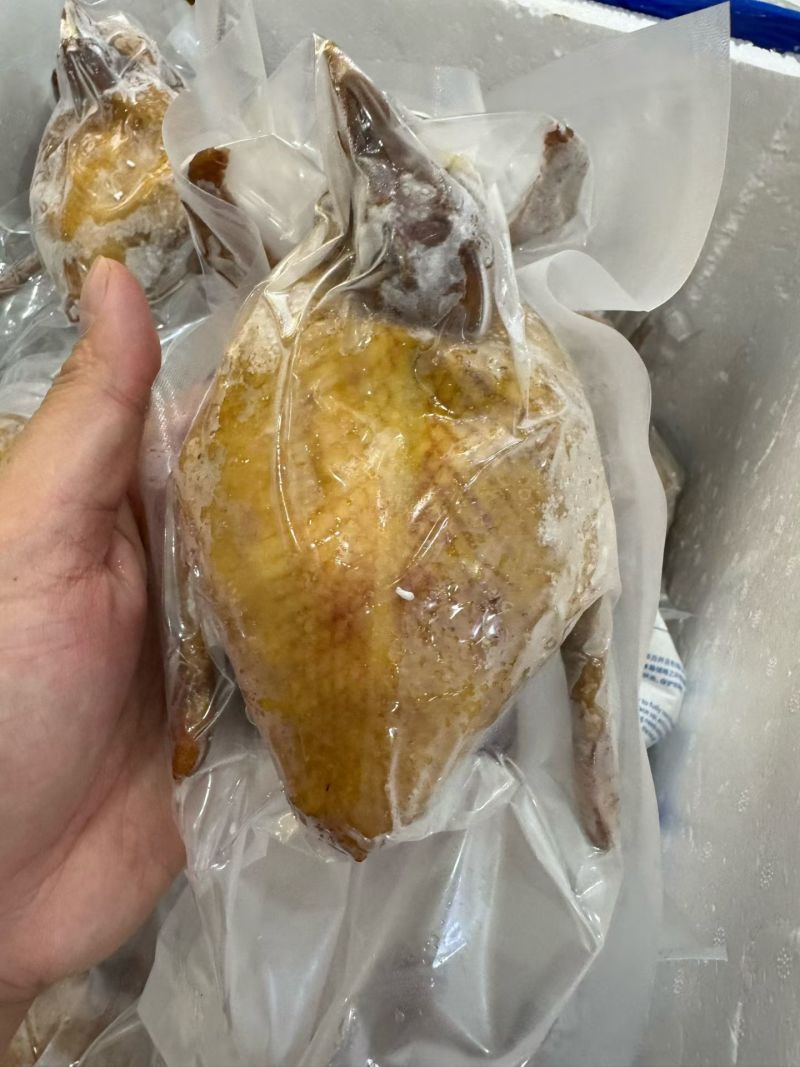 (工厂价)佛跳墙鲍汁鸽吞翅味道好酒店直供批发