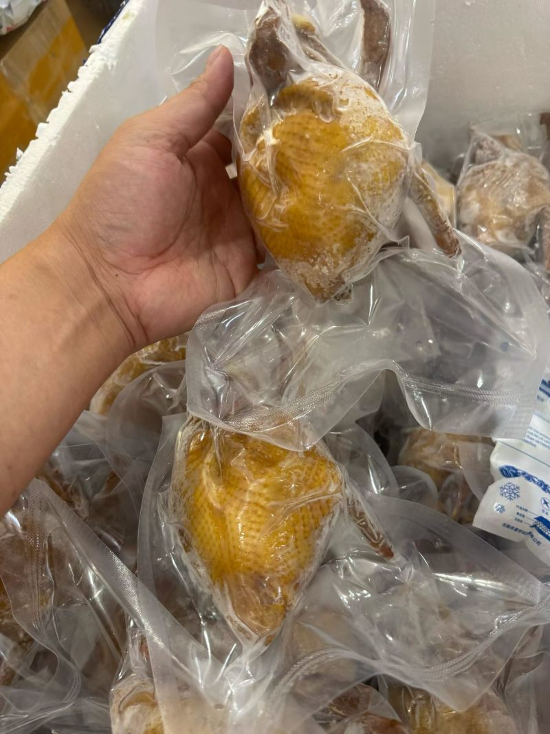 (工厂价)佛跳墙鲍汁鸽吞翅味道好酒店直供批发