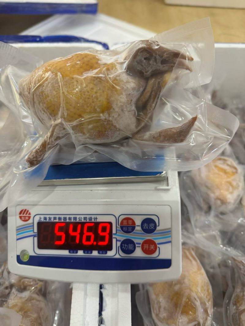 (工厂价)佛跳墙鲍汁鸽吞翅味道好酒店直供批发